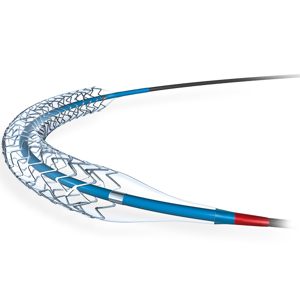 Coronary Products Boston Scientific